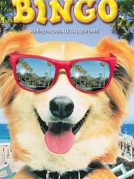 灵犬宾果国语在线观看,国语版动画电影，在线观看，欢乐来袭！  第3张